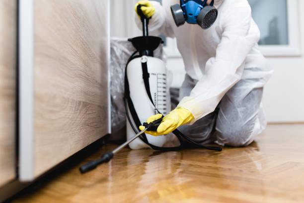 Best Termite Control Services  in Williamsport, MD