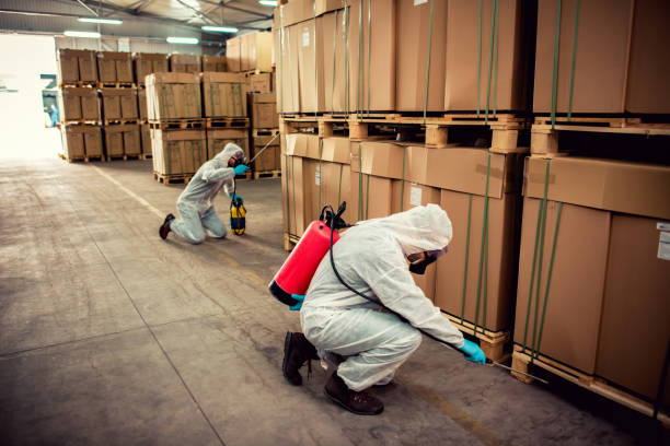 Best Best Pest Control Near Me  in Williamsport, MD