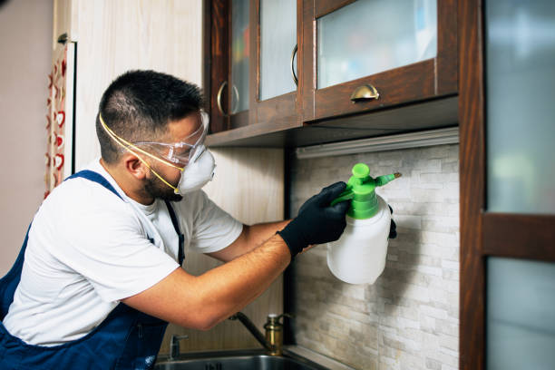 Best Cockroach Control Services  in Williamsport, MD