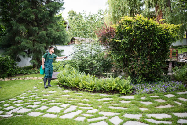 Best Pest Removal Services  in Williamsport, MD