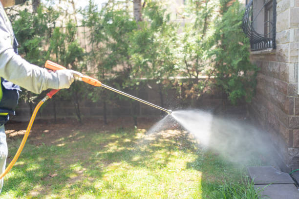 Best Residential Pest Control  in Williamsport, MD
