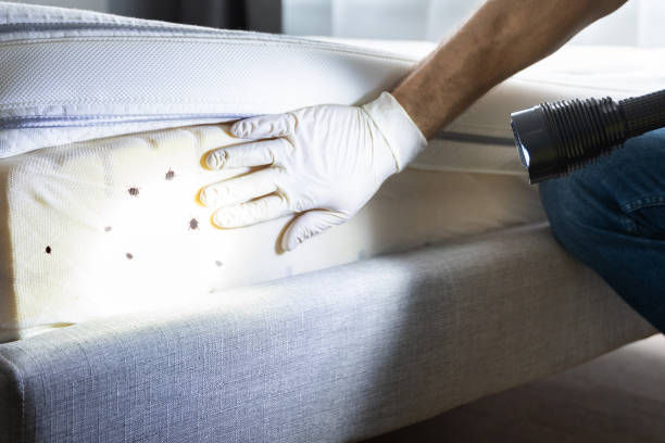  Williamsport, MD Pest Control Pros