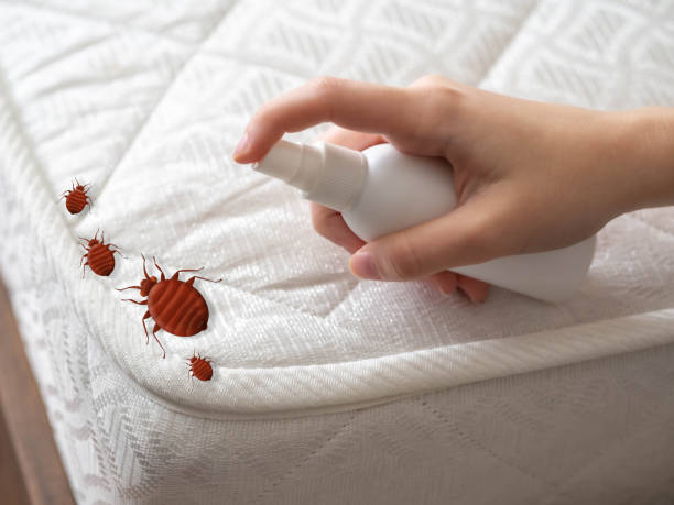 Best Emergency Pest Control  in Williamsport, MD