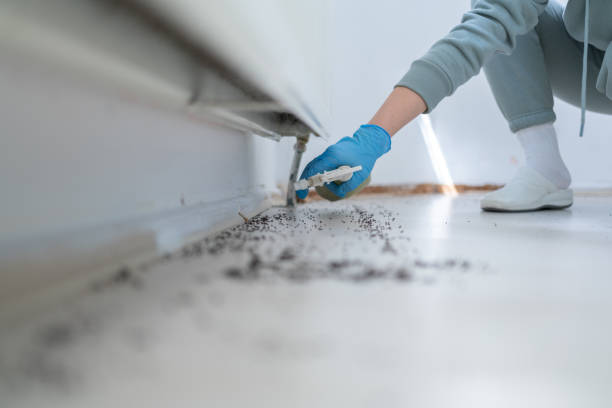 Best Exterminator Services  in Williamsport, MD